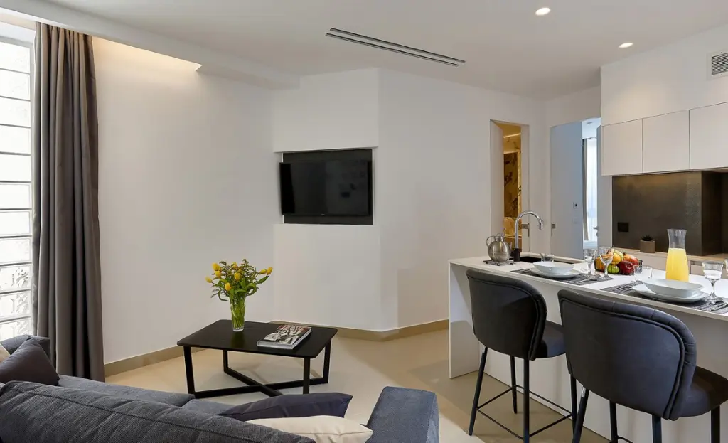 One Bedroom Apartment