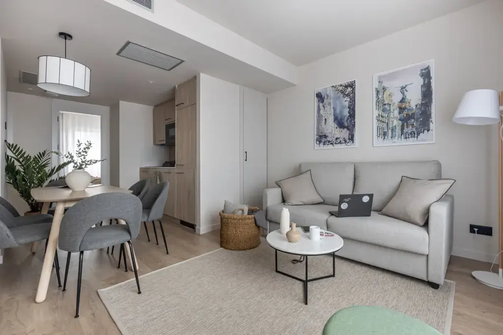One Bedroom Apartment
